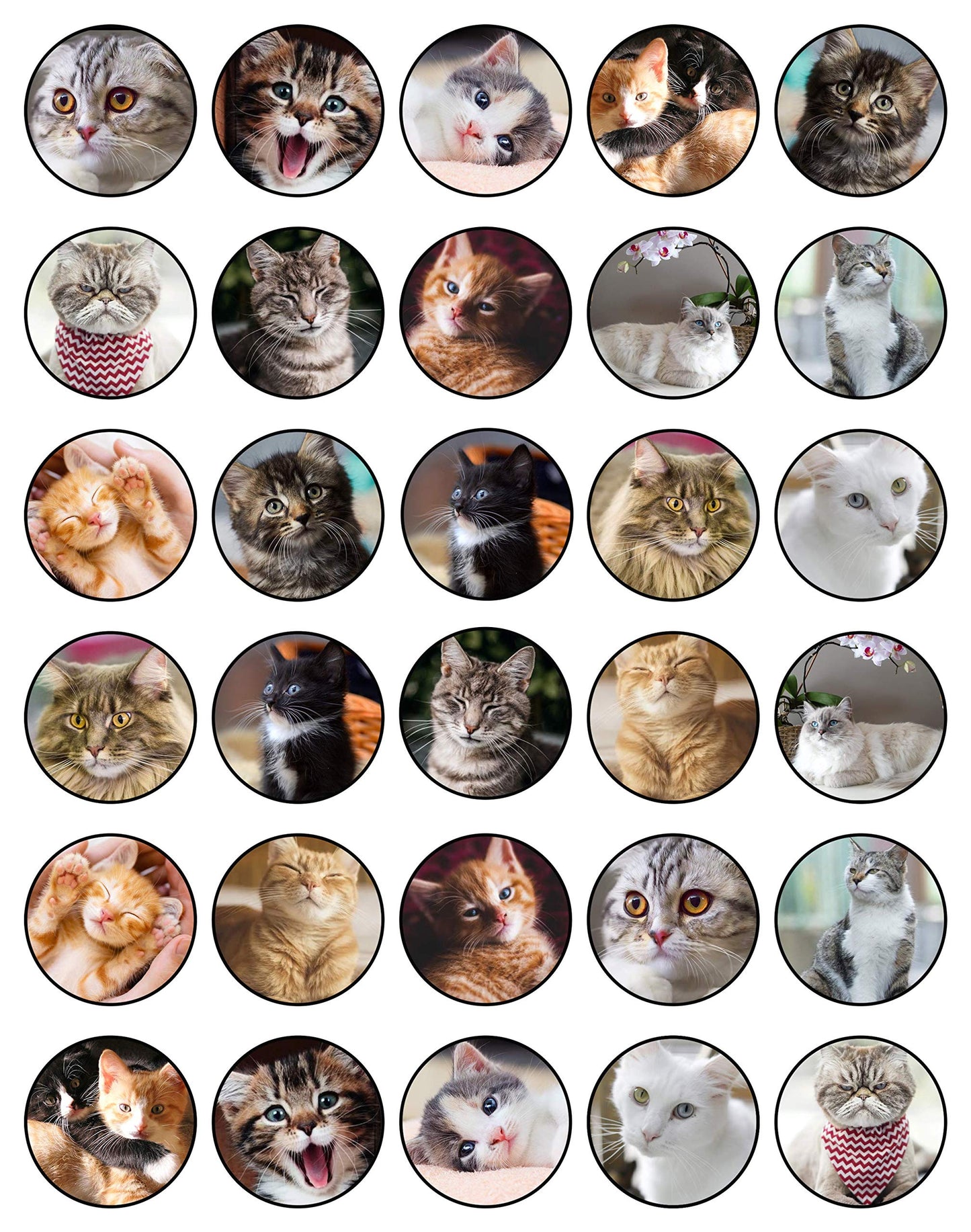 30x Wafer Paper Animal-Cats Edible Cupcake Topper